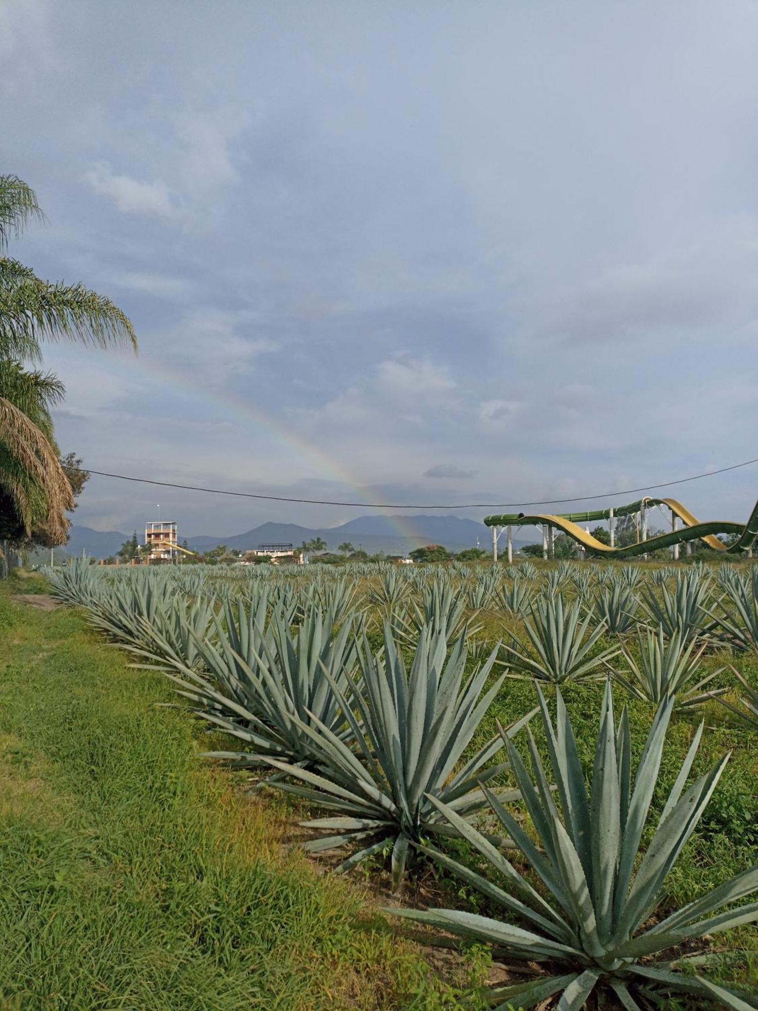 Don Pedrillo Ξενοδοχείο Oaxaca Εξωτερικό φωτογραφία